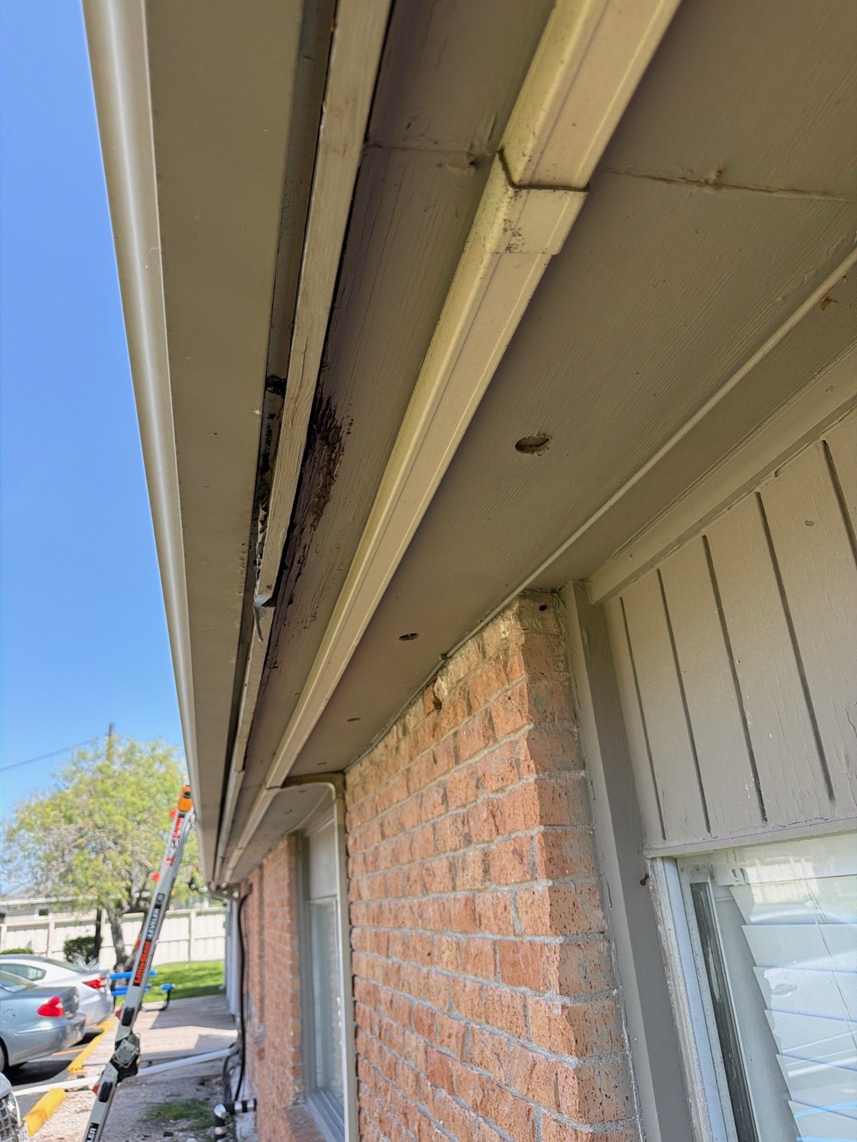 Rotted wood fascia board splitting apart at the eave above a brick wall