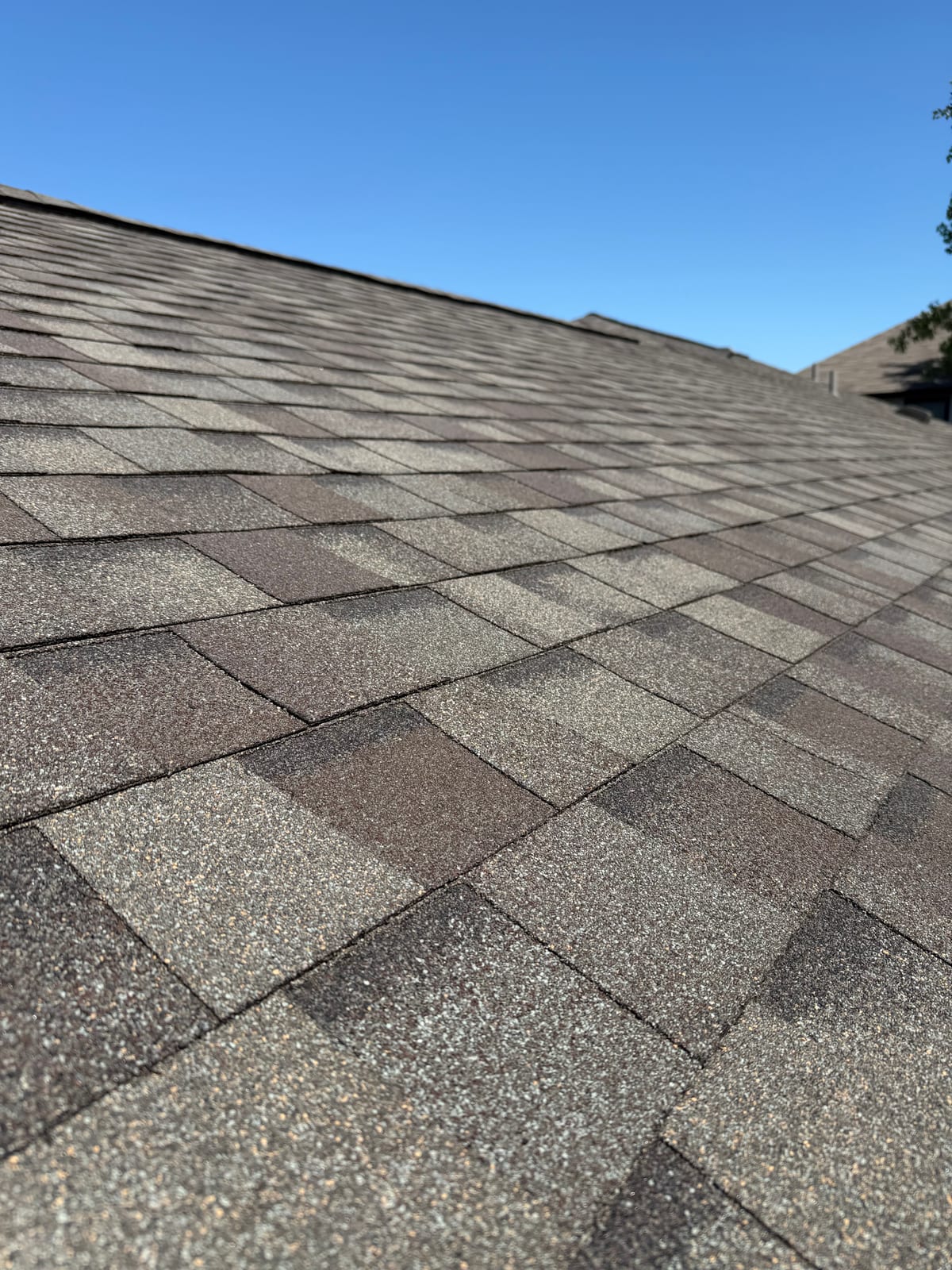 Close-up of Weatherwood architectural shingles showing the grey and brown granule blend and shadow lines